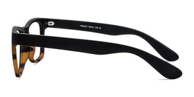 Project--Black Tortoise