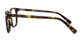 Absolutely--Tortoise