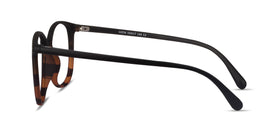 Lucia--Black Tortoise