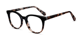 Rialto--Black Tortoise