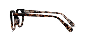 Rialto--Black Tortoise