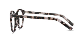 Primrose--Ivory Tortoise