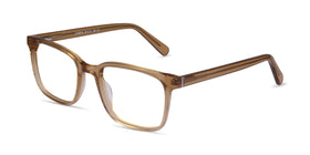 Charlie--Clear Brown