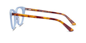 Anastasia--Baby Blue & Tortoise