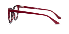 Dorset--Pink Tortoise