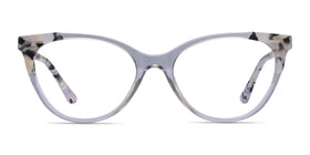 Dorset--Clear Tortoise