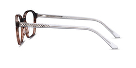 Efficient--Brown Striped