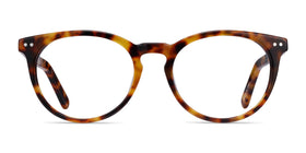 Morning--Warm Tortoise