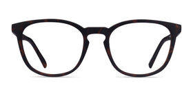 Persea--Warm Tortoise