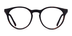 Ginkgo--Warm Tortoise