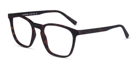 Eucalyptus--Warm Tortoise