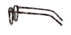 Aura--Ivory Tortoise