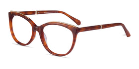 Brilliance--Tortoise