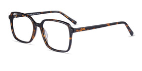 Nonchalance--Tortoise