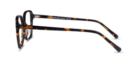 Nonchalance--Tortoise