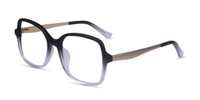 Clematis--Black Clear