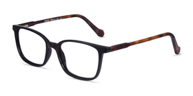 Travel--Black Tortoise