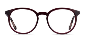 Saturn--Mulberry Tortoise