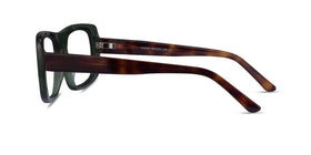 Sonny--Clear Green Tortoise