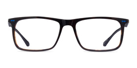 Patience--Black Tortoise