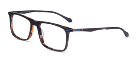 Patience--Black Tortoise