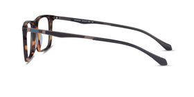 Patience--Black Tortoise