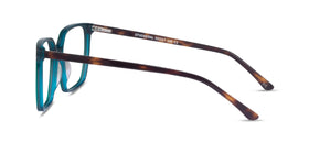 Ephemeral--Teal Tortoise