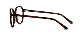 Ebullience--Tortoise