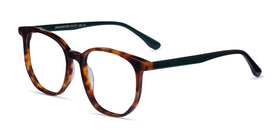 Observation--Tortoise Dark Green