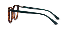 Observation--Tortoise Dark Green