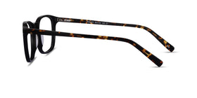 Holley--Black Tortoise