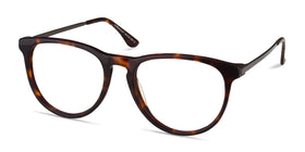 Ultraviolet--Tortoise