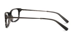 Requiem--Gray Striped