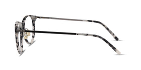 Iris--Ivory Tortoise