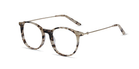 Quill--Ivory Tortoise