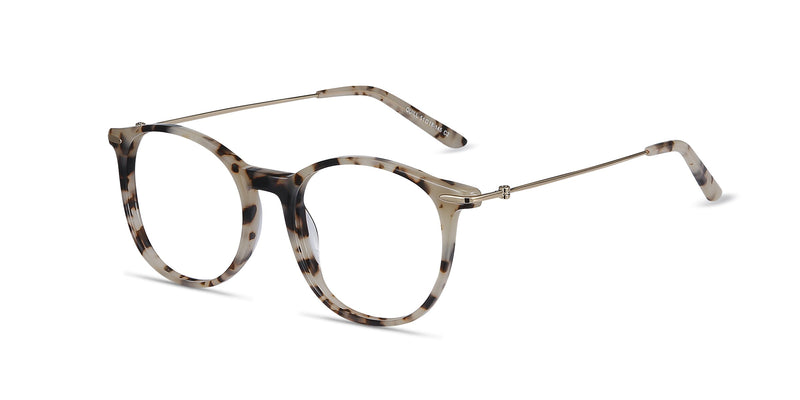 Quill--Ivory Tortoise