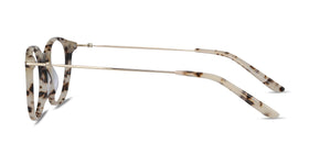 Quill--Ivory Tortoise