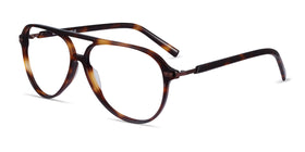 Viento--Warm Tortoise