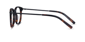 Villeneuve--Dark Tortoise