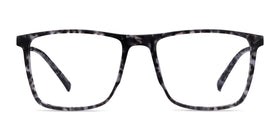 Cooper--Gray Tortoise