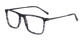 Cooper--Gray Tortoise