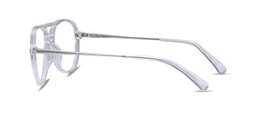 Picture--Clear & Silver