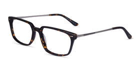 Fusion--Tortoise Silver