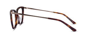 Trenta--Tortoise Gold