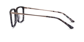 Volume--Dark Tortoise