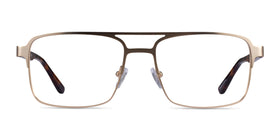 Gustave--Gold Tortoise