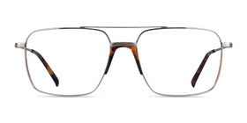 Matt--Silver Tortoise