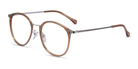 Light--Clear Brown Silver