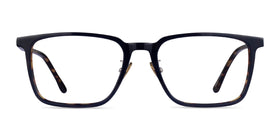 Pierce--Blue Tortoise