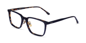 Pierce--Blue Tortoise